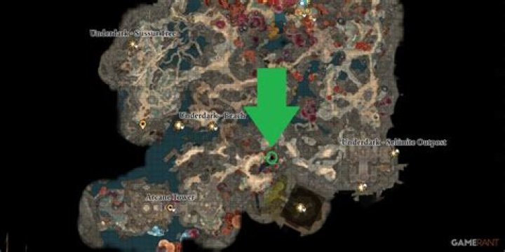 How do I get to Skyline Trail?