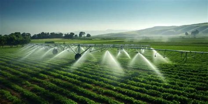How do I get to the chest of irrigation in Destiny 2?