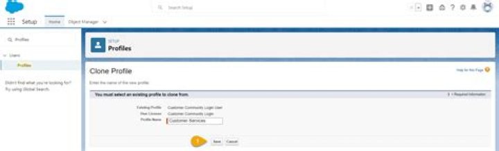 How do I give a mobile access to a profile in Salesforce?