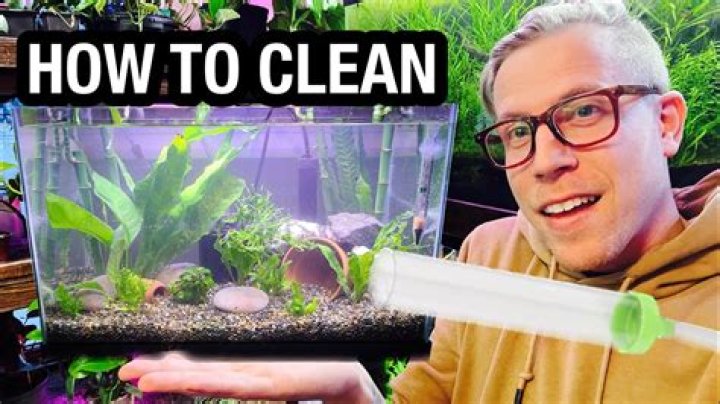 How do I keep my fish tank water clear?