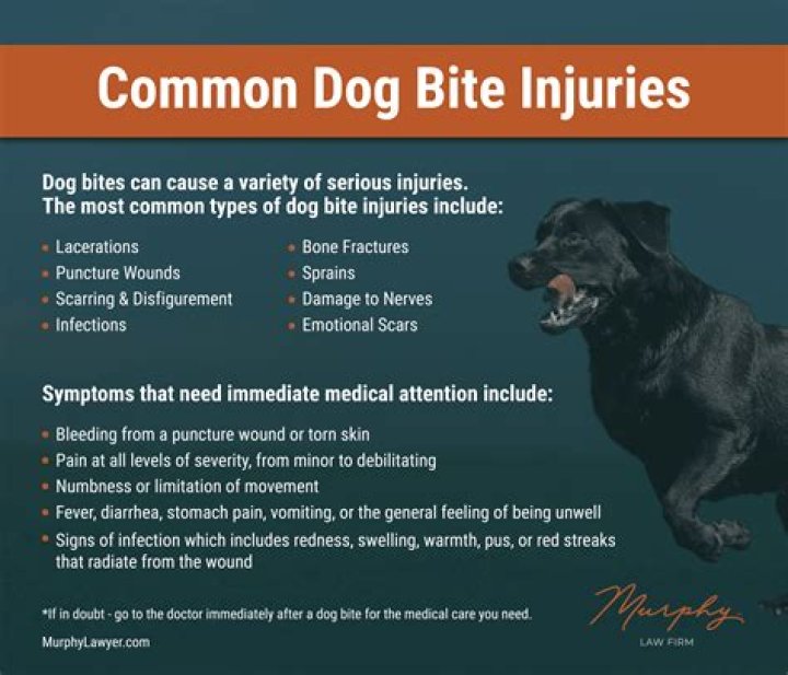How do I know if my dog will bite another dog?