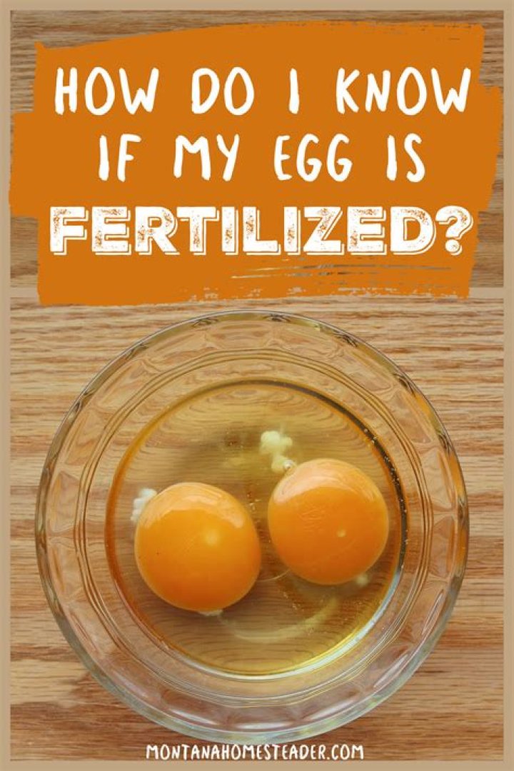How do I know if my protein is real?