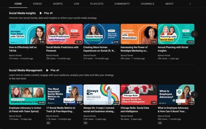 How do I make a curated playlist?
