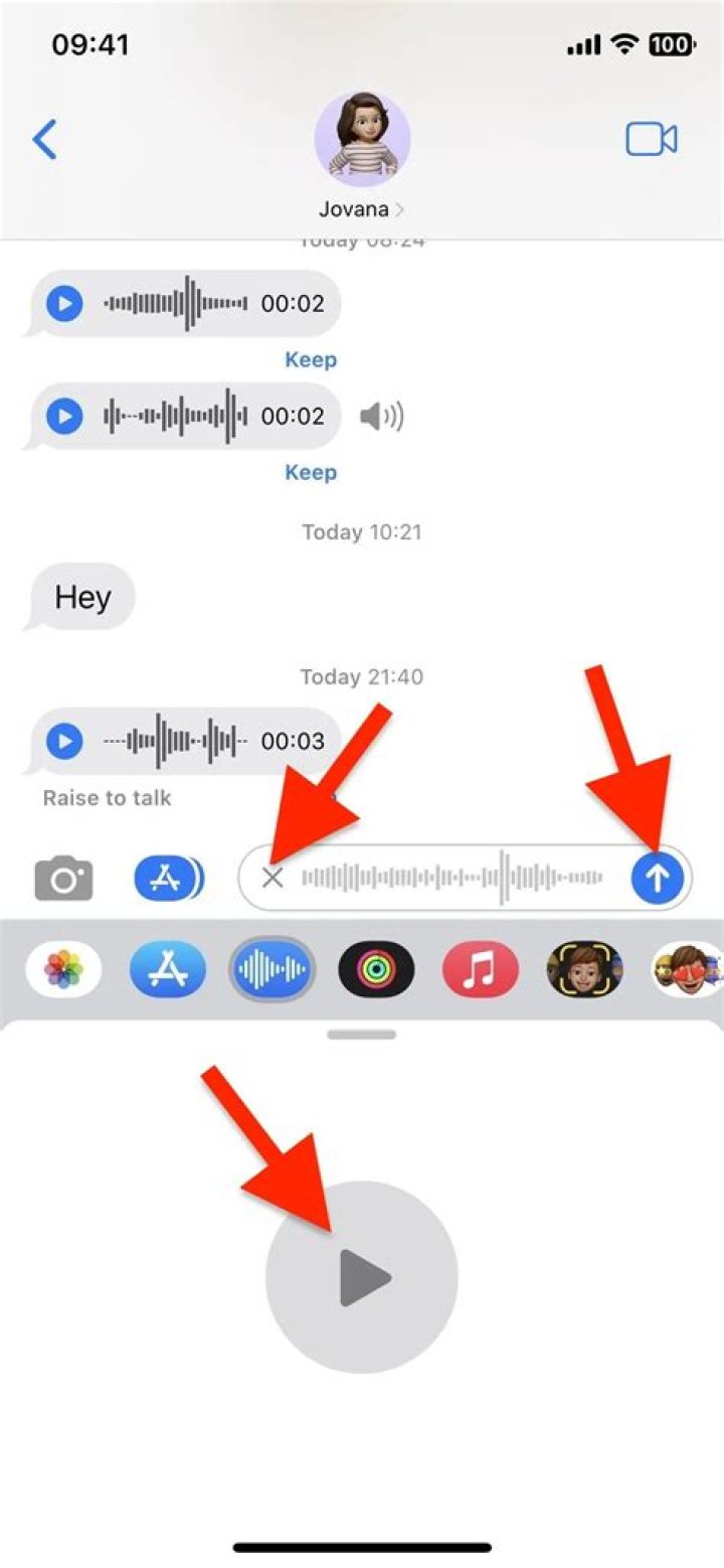 How do I make my wo MIC my default?