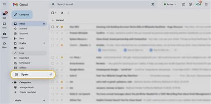 How do I make sure my email is not marked as spam?