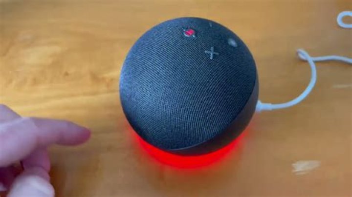 How do I mute Alexa on Sonos one?