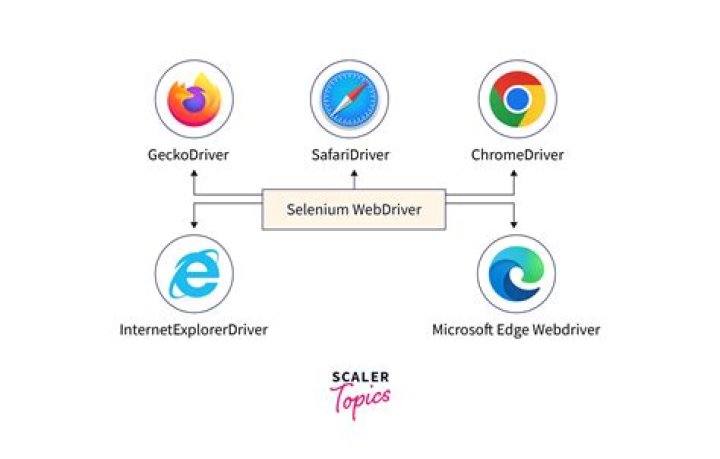 How do I open two browsers in selenium?