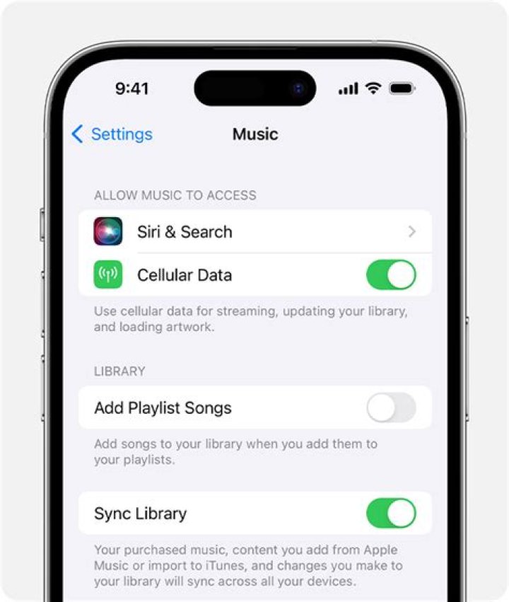 How do I play all my music library on iPhone?