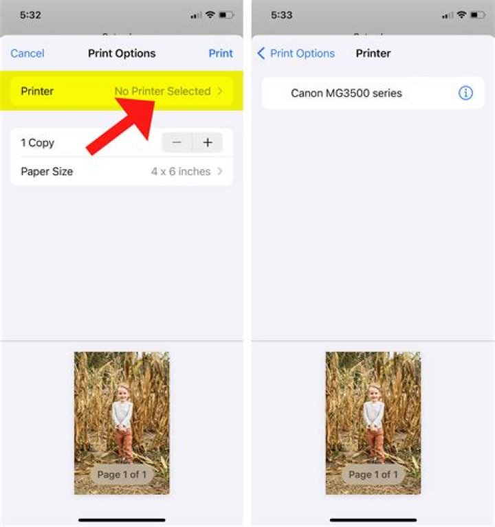 How do I print from Appstate?
