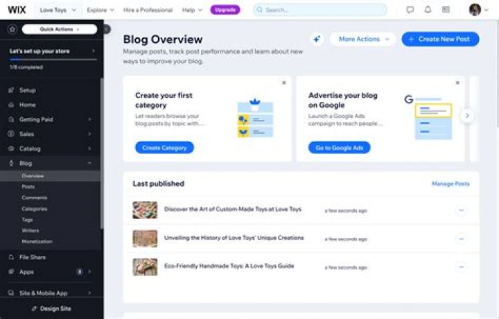 How do I publish my blog on Wix?