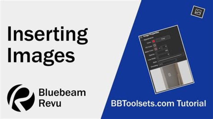 How do I reduce the size of an image in Bluebeam?