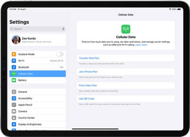 How do I remove data plan from iPad?