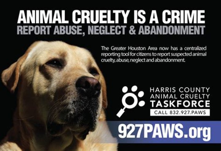How do I report animal cruelty in Houston?