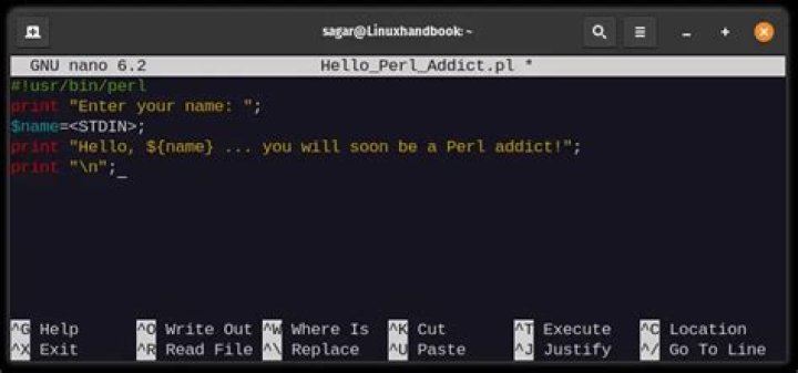 How do I run a Perl script in Unix?