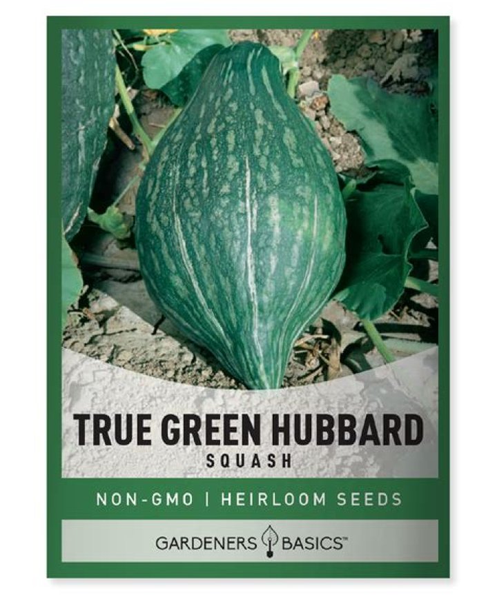 How do I save hubbard squash seeds?