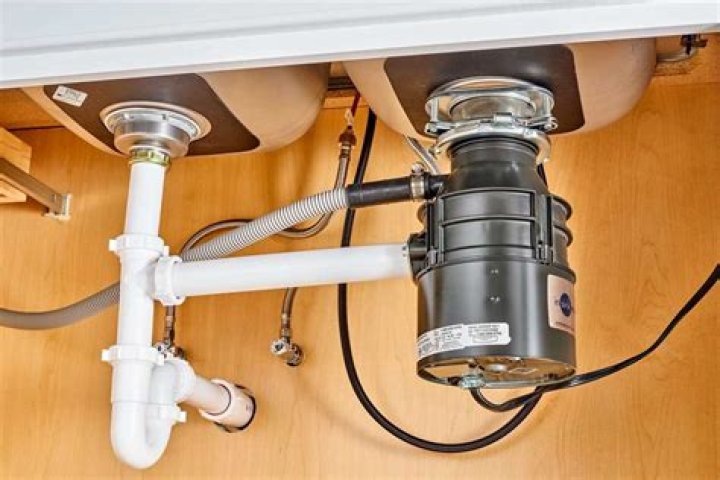 How do I service my InSinkErator?