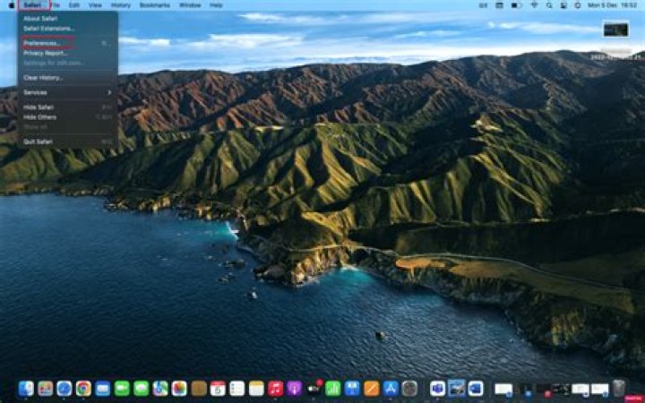 How do I set default homepage in Safari on iPad?