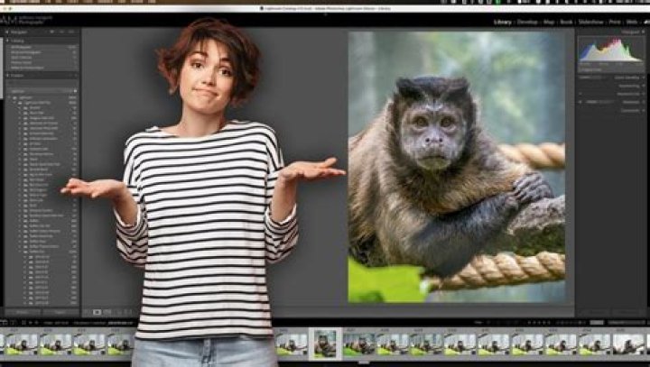 How do I sign into Lightroom?