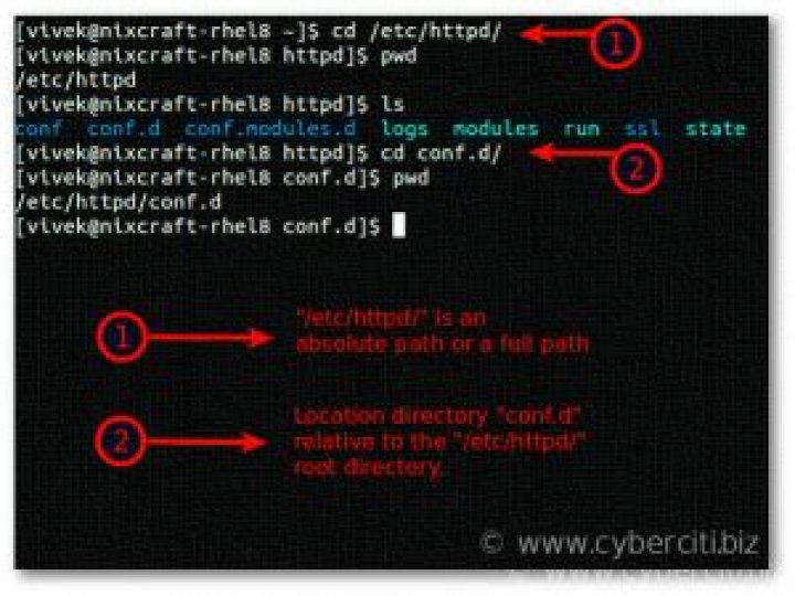 How do I sort a directory in Unix?