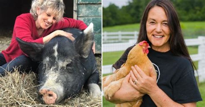 How do I start an animal sanctuary?