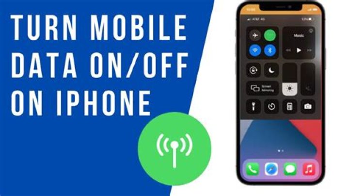How do I turn off data usage warning on iPhone?