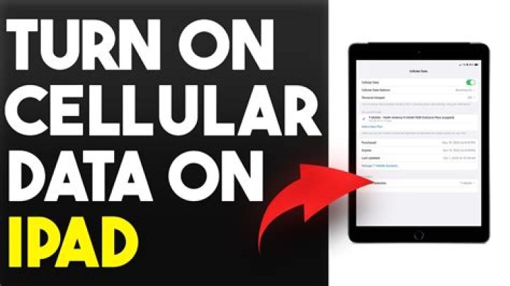 How do I turn on cellular data on my iPad MINI?