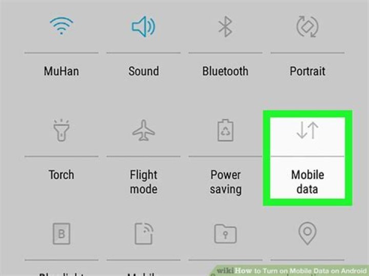 How do I turn on mobile data on Sony Xperia z1?