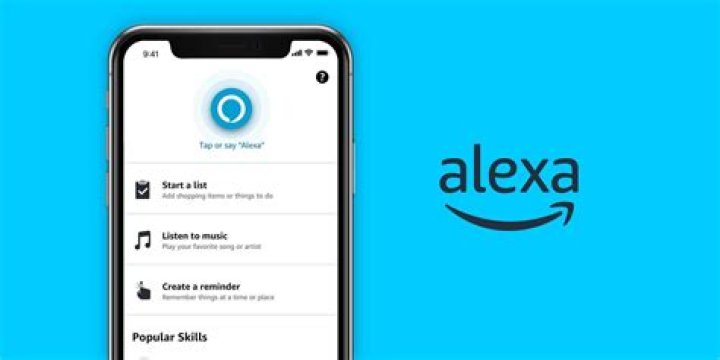 How do I use Alexa on Amazon app?