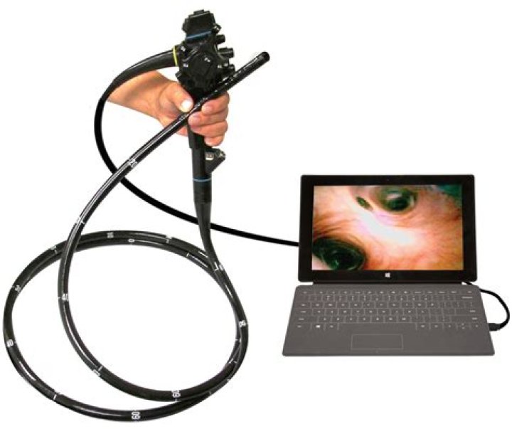How do I use an endoscope USB on a Mac?