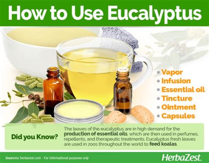 How do I use eucalyptus oil for flu?