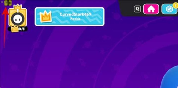 How do I use Fraps FPS counter?