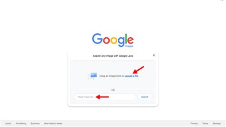 How do I use Google Box?