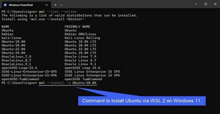 How do I use WSL 2?