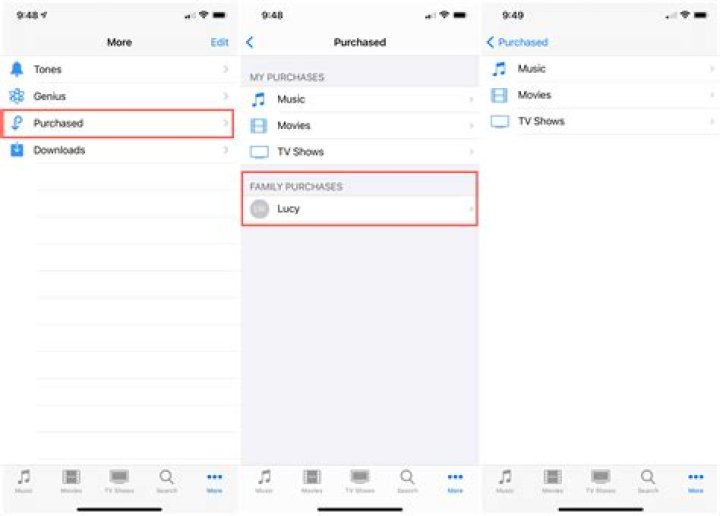 How do I view my family purchases on iPhone?