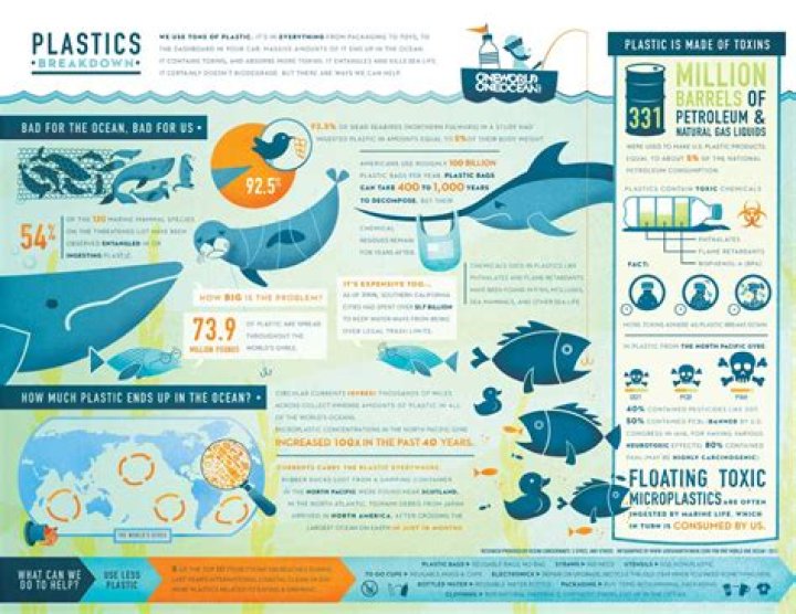 How do plastic water bottles affect animals?