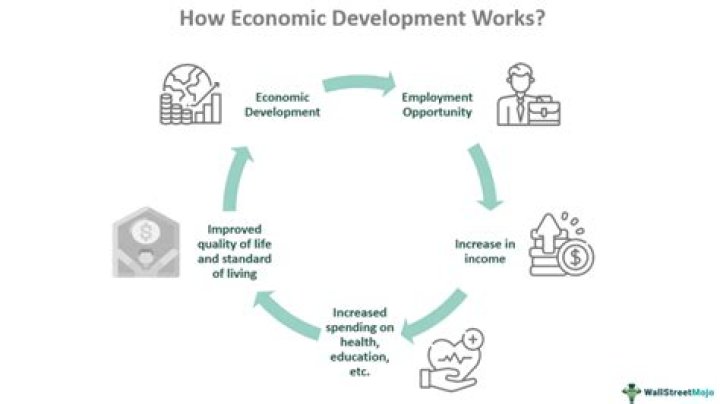How do services contribution to economic development?