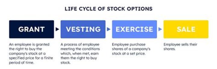 How do stock options work example?