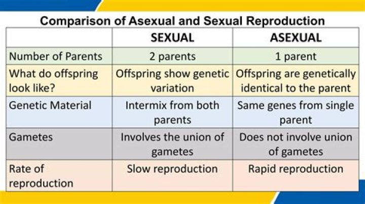 How do the offspring of sexual reproduction compare to the parents?