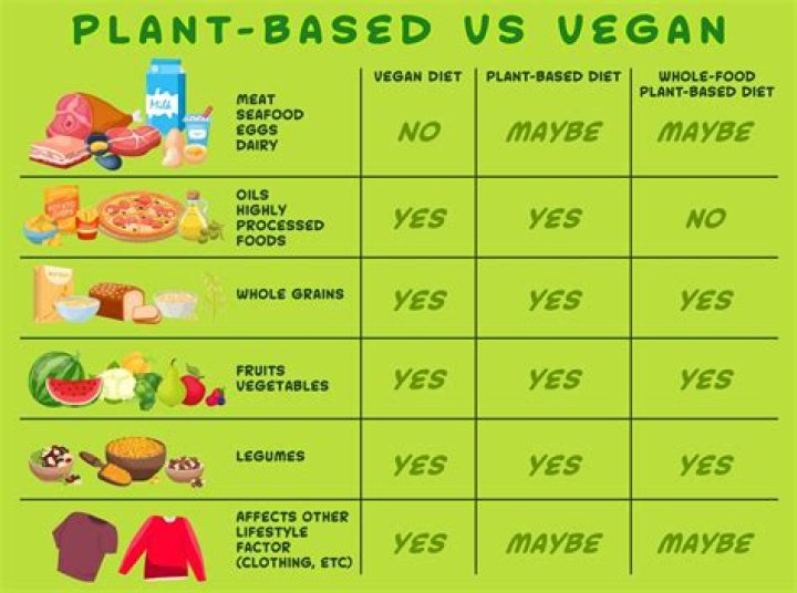 How do vegans get involved in activism?