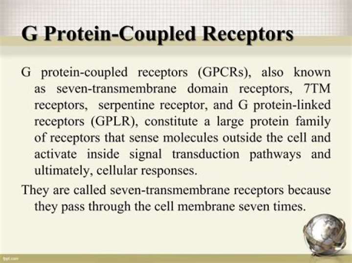 How do you activate G protein coupled receptors?
