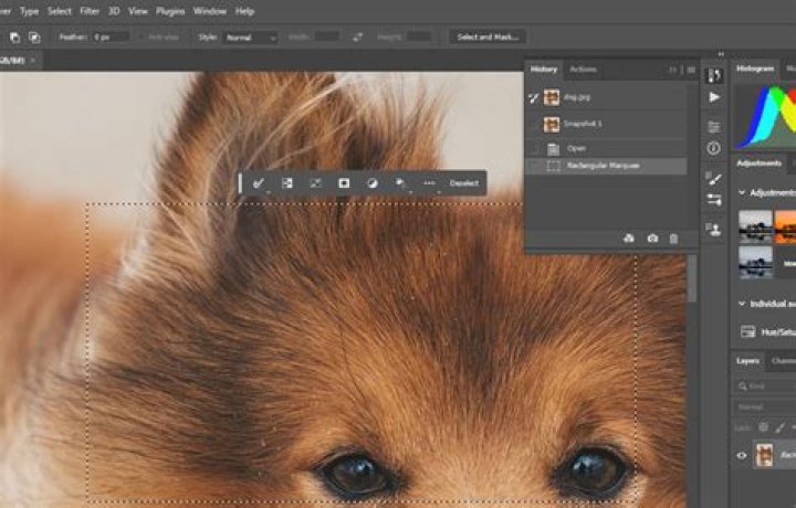 How do you add history in Photoshop?