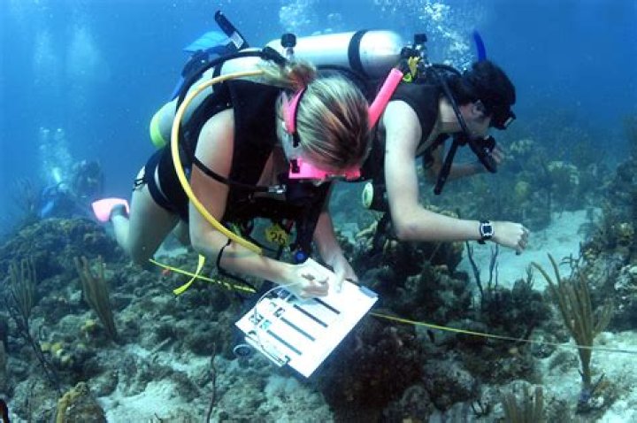 How do you become a deep sea biologist?