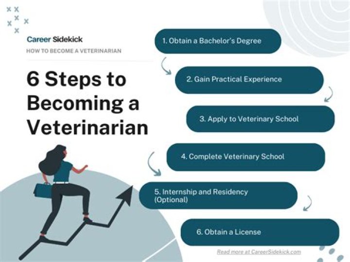 How do you become a wild animal veterinarian?