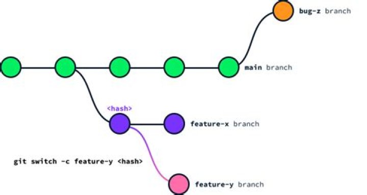 How do you branch from a specific commit?