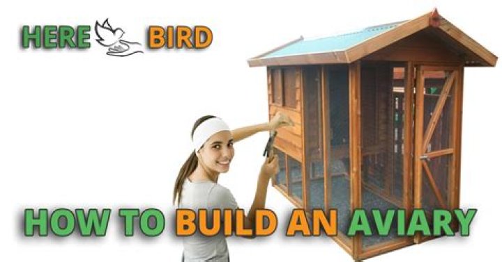 How do you build a bird aviary outside?