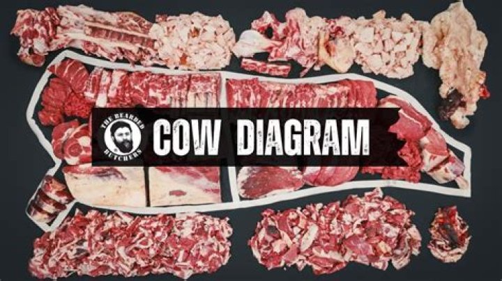 How do you c section a cow?
