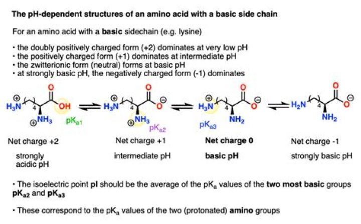 How do you calculate the charge of an amino acid?