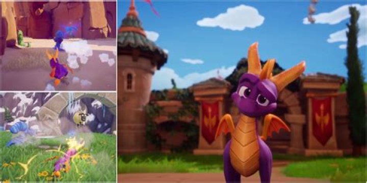 How do you catch thieves in Spyro?