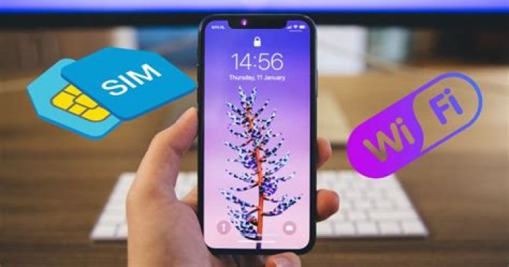 How do you check if my phone will work in Japan?
