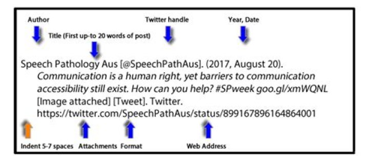 How do you cite a standardized assessment in APA?